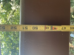 IMG_0019